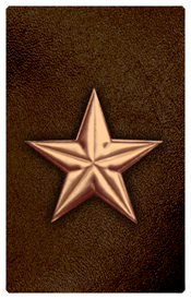 DNSHERT C 430 CP BR Star Copper Brown